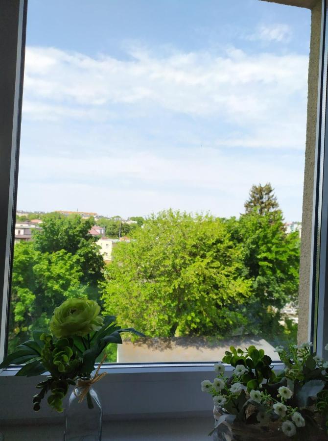 Ferienwohnung Juliusz Sandomierz Exterior foto